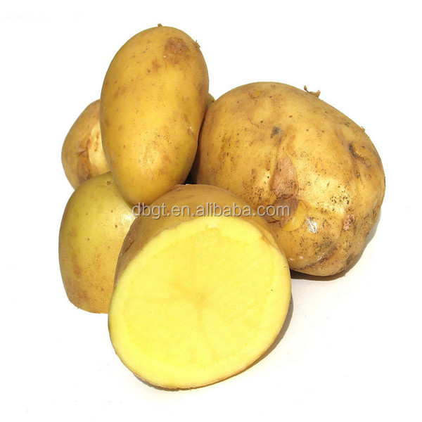 frozen fried potatoes with competitive price/potato cold storage