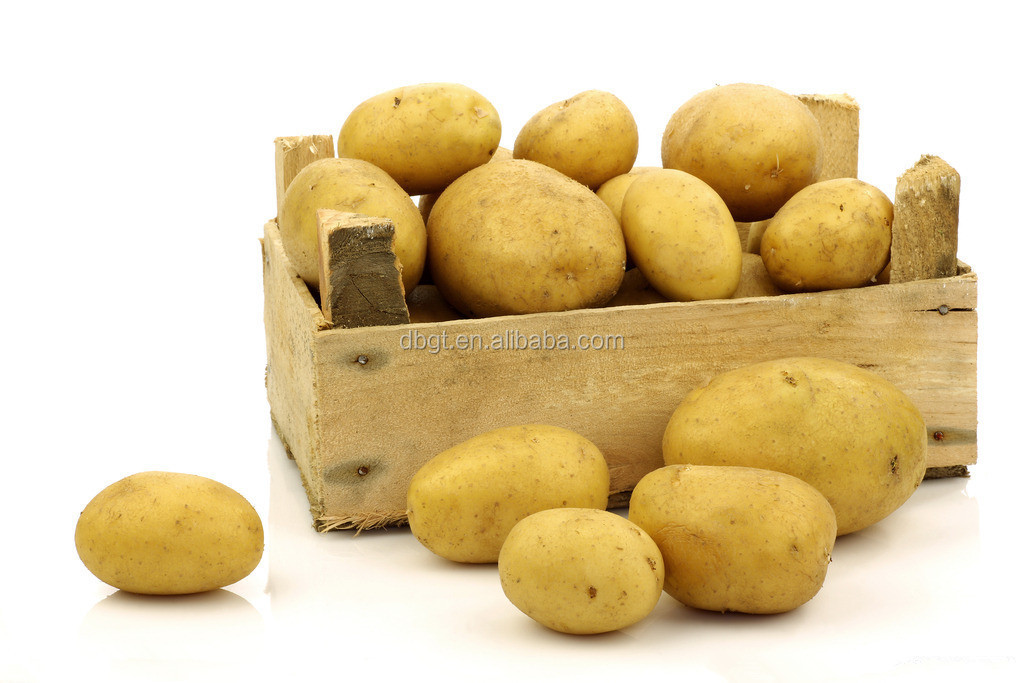 2014 Shaanxi new crop Fresh Potato in Various Pack