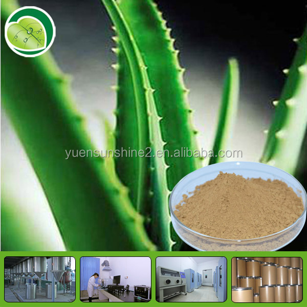 low price and high quality 100% natural plant extract aloe vera extract powder
