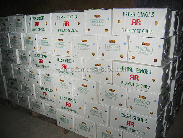 air dry ginger - fresh ginger market in China
