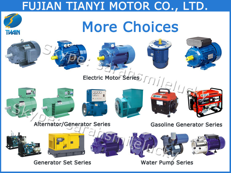 high quality with best price yc electric ac motor