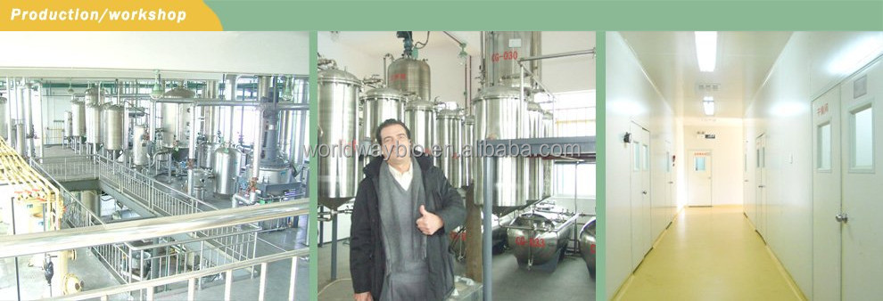 piperine free sample HACCP KOSHER GMP certified China factory food grade black pepper powder bulk piperine extract 10%