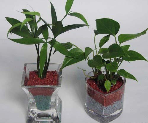エキスパンド粘土超植物が成長する環境にやさしい水耕栽培用肥料を育てる問屋・仕入れ・卸・卸売り
