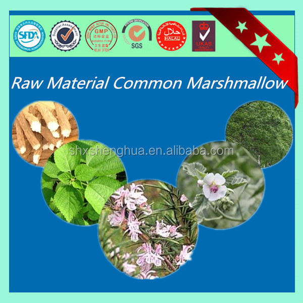 BV certificated marshmallow bulk high quality Marshmallow Leaf Herb Plant