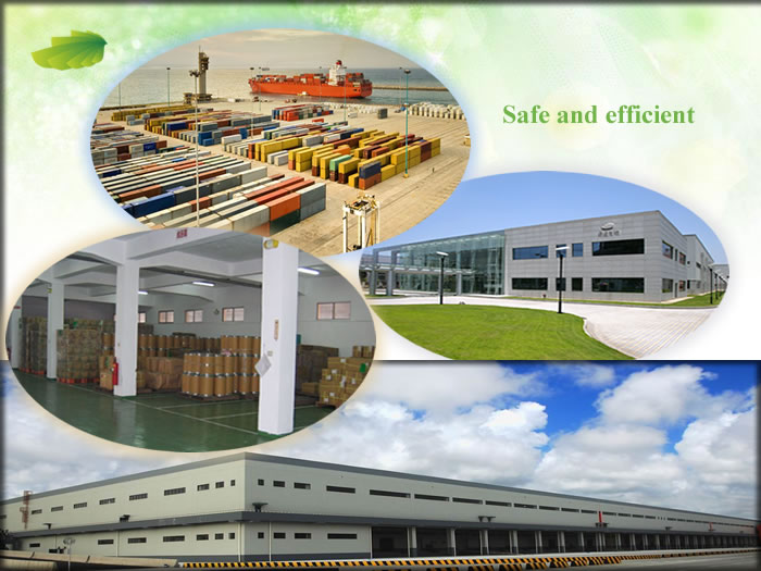Top quality cinnamon bark extract
