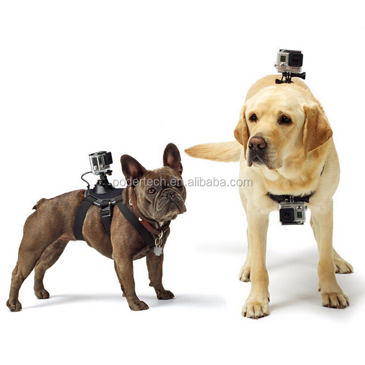 chest harness