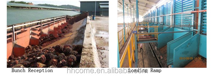  palm oil extraction machine