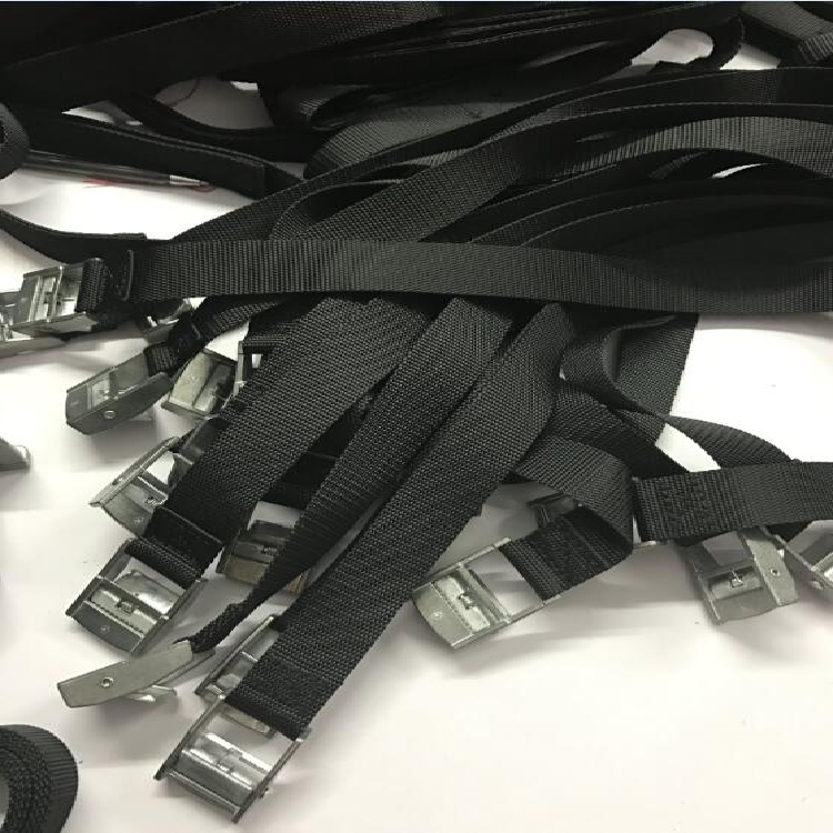 Polyester Roof Rack Strap Ski Straps With Black Cam Buckle Buy Roof