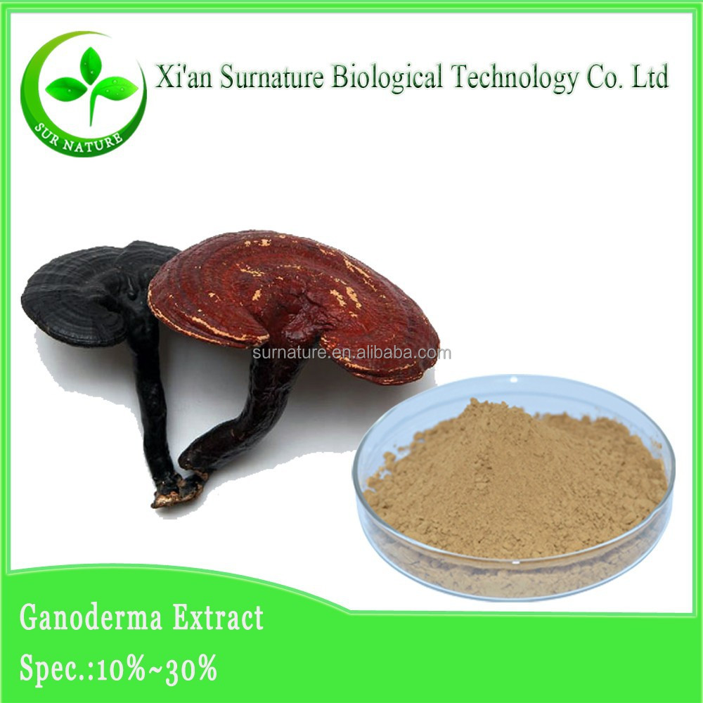 solid liquid extraction of ganoderma lucidum solid liquid extraction of ganoderma lucidum