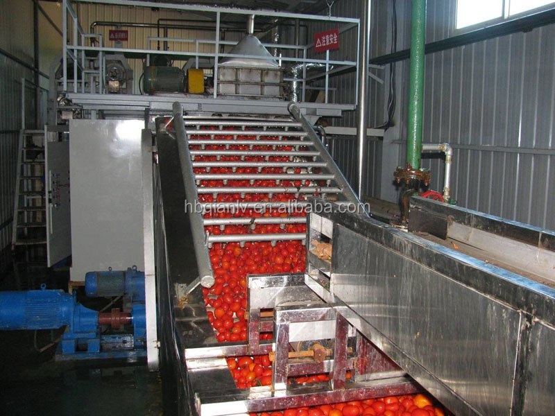 400g tomato paste with easy open