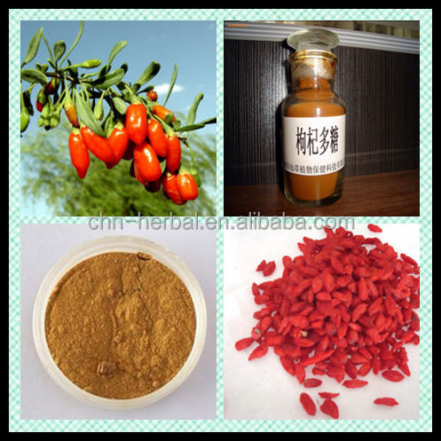 Herbal Capsules for Plant Extract and Ningxia Goji Berry