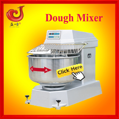 10 trays steam function gas convection oven