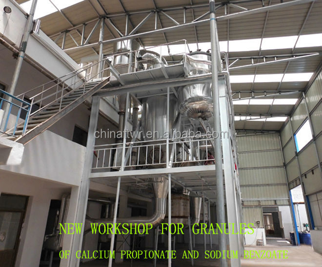 Food grade preservatives powder sodium propionate professional manufacturer