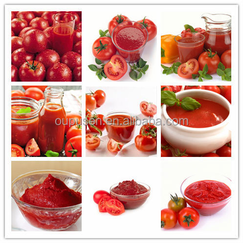 Bulk Sauce Tomato Tomato Paste in Drum