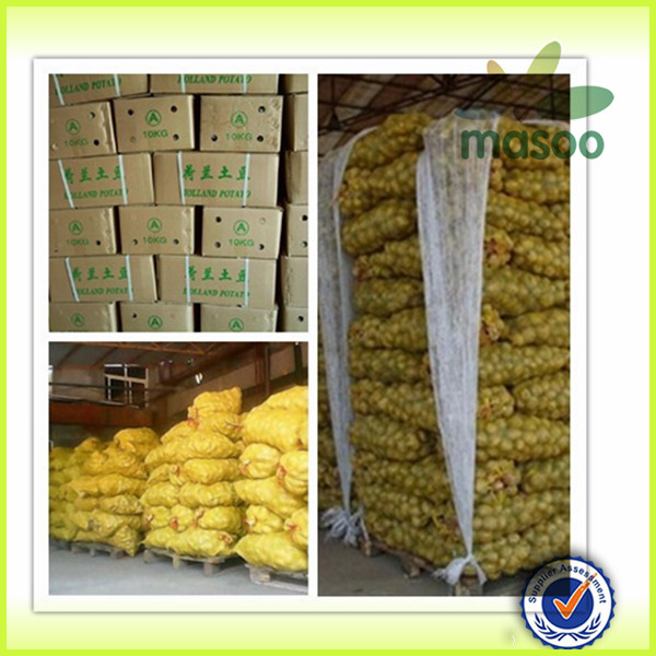 2014 crop Fresh Chinese Holland Potatoes Exporters