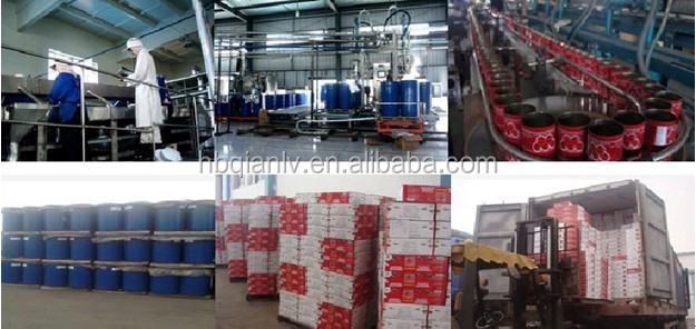 Tomato Paste & ketchup & tomato sauce&China&Bulk&bag&Tin