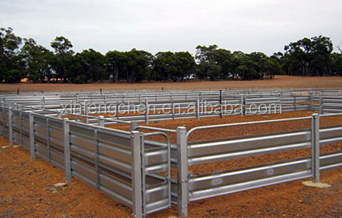 sheep panel 1