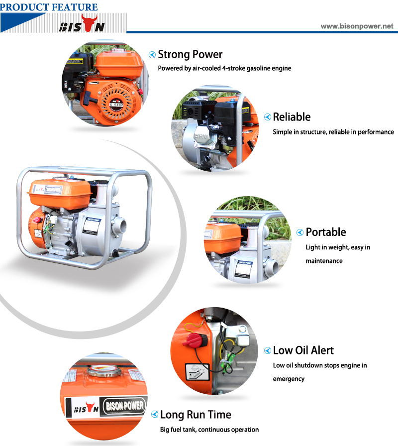 2 Inch Gasoline Engine Water Pump BS20 BISON