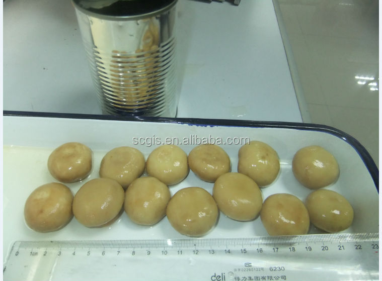 High nutritious canned mushroom