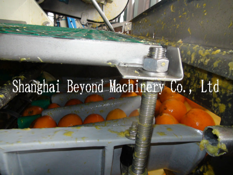 200 tons per day automatic Orange citrus processing line fruit juice production line