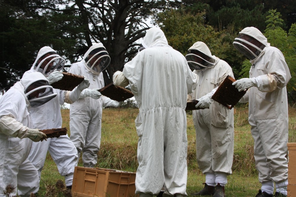 beekeeping suit 2