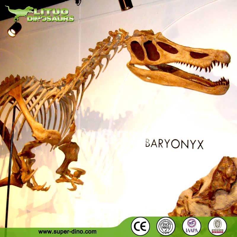 baryonyx bones