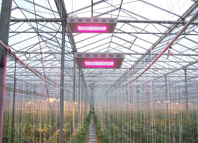 ハイパワーダウンランプ HL-G80A led ライト を育てる ため の植物仕入れ・メーカー・工場