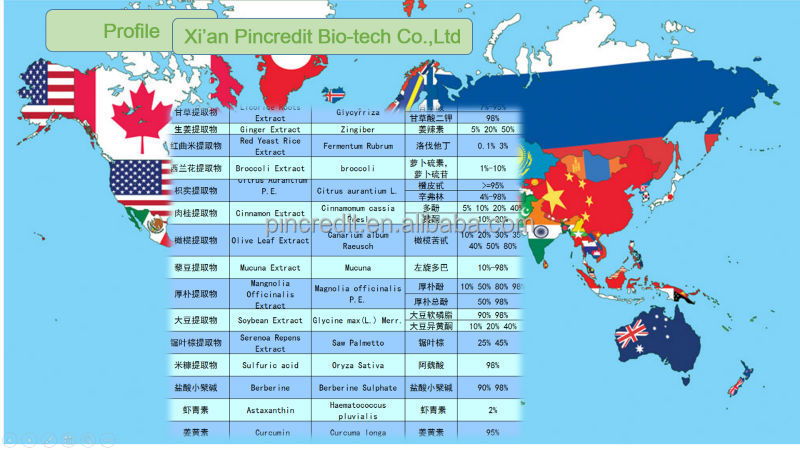 2014 New produced goji berry extract powder