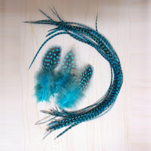 blue feather hair (3)