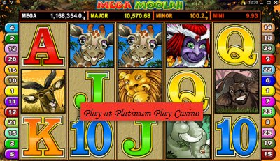 Buy Casino Software