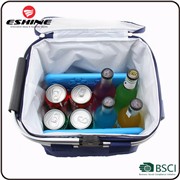 Eshineメーカー直接簡単にキャリープラスチック絶縁ワインクーラーバッグ、ピクニッククーラーバッグ、ビールクーラーバッグ仕入れ・メーカー・工場