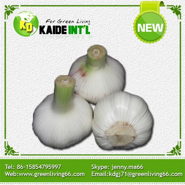 2014 Fresh Garlic With Mesh Bag