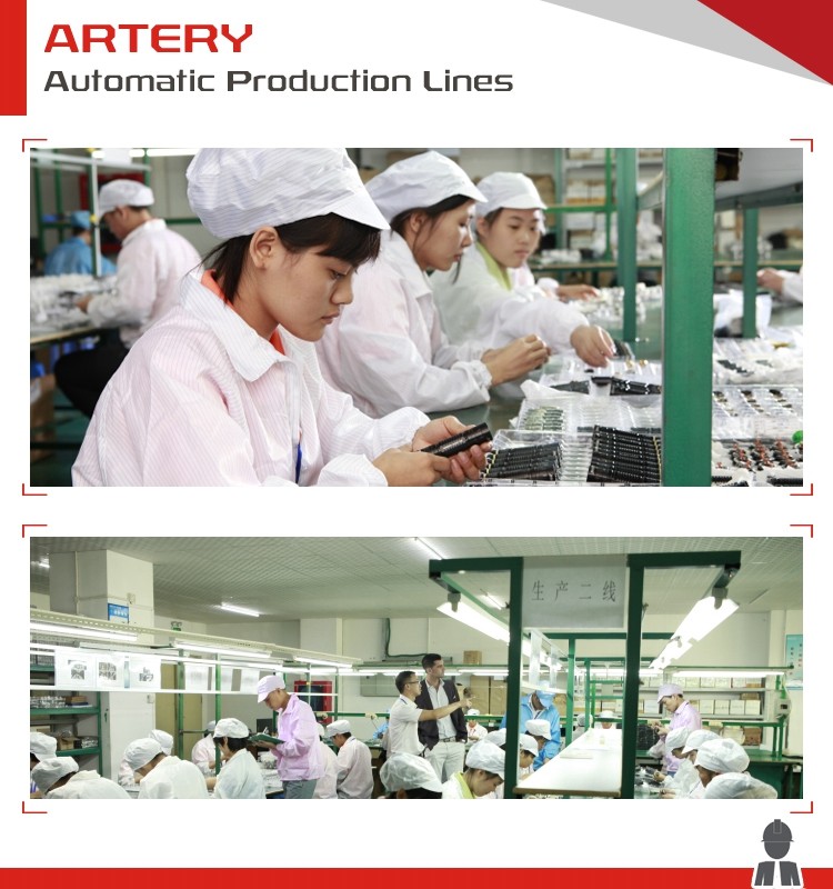 Artery 3