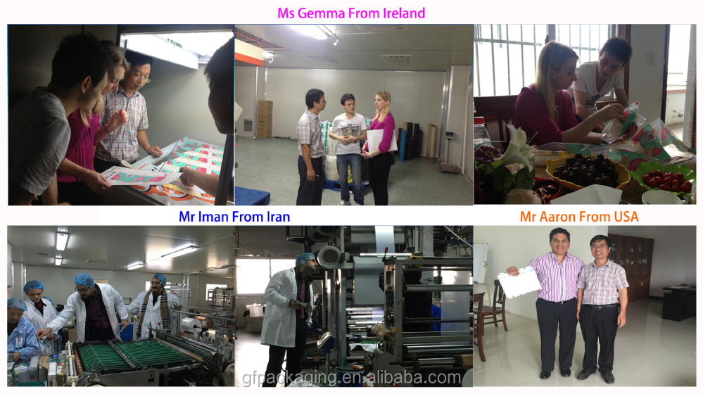 Fda& sgs承認見込みであるプラスチック製の食品袋ハンドル付きケーキの包装に中国製仕入れ・メーカー・工場
