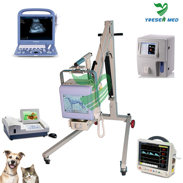 Top Sale Top Quality Low Price Medical Equipment For Veterinary Buy
