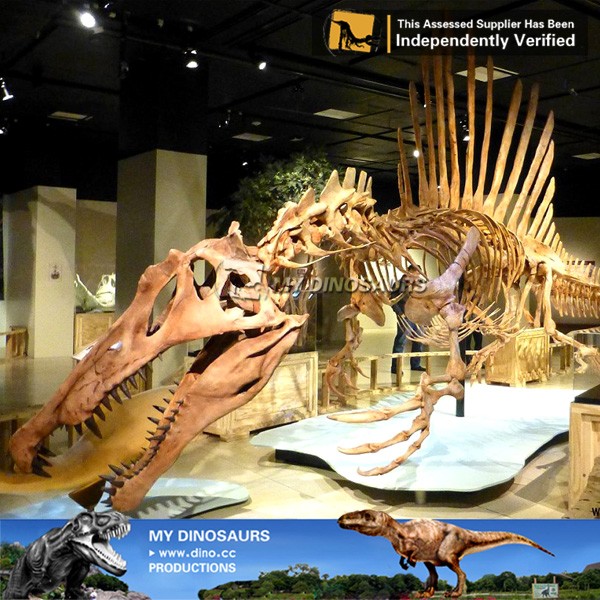 spinosaurus skeleton 1.jpg