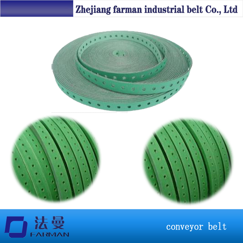 Products Nylon Conveyor Belt 19