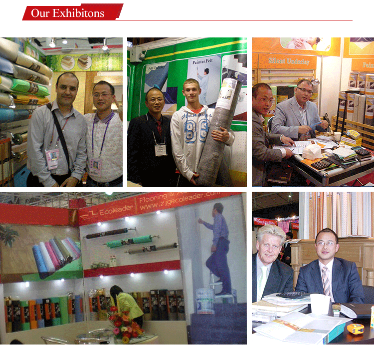 exhibition