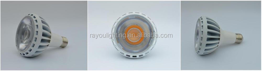 COB-LED-PAR30-30W-25W-20W-No-fan