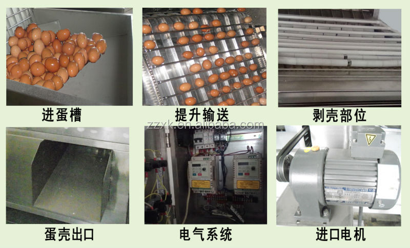 high tech boiled quail egg peeler machine