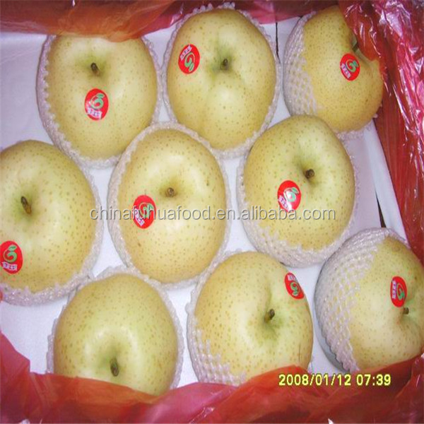 New Crop Pear Fresh