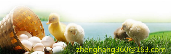 QQ20151019090623_