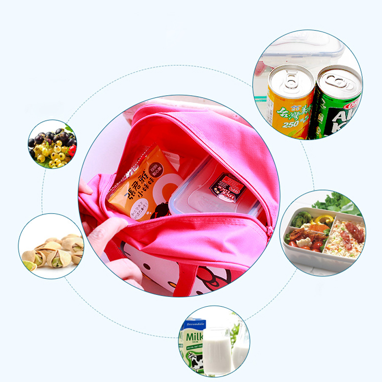 Exceptional Quality Fancy Design Customized Lunch Bag