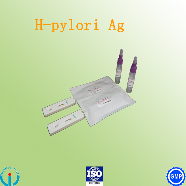 Health Care Diagnostic Test Kits / H Pylori Antigen Test Kit / Feces Stool Rapid Test Buy