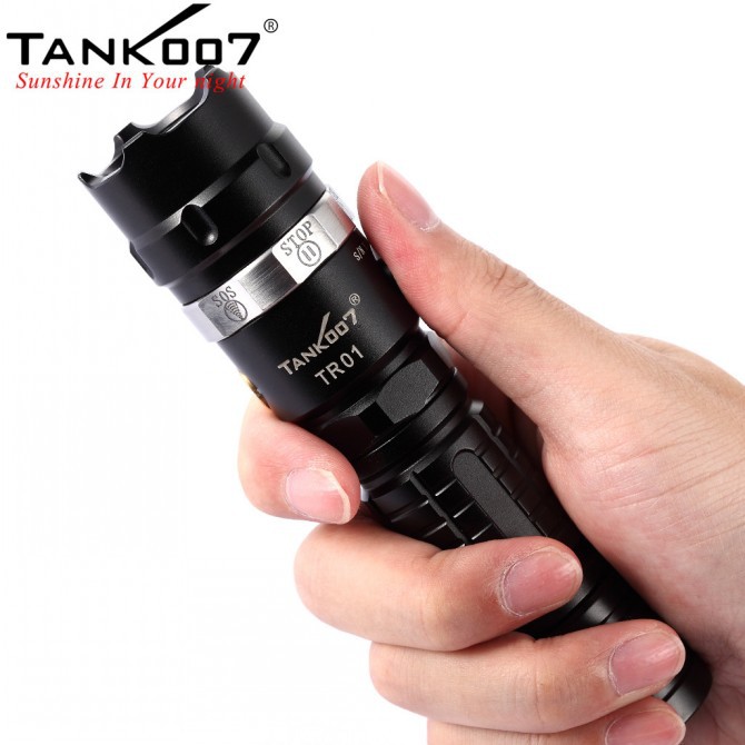 flashlights.jpg