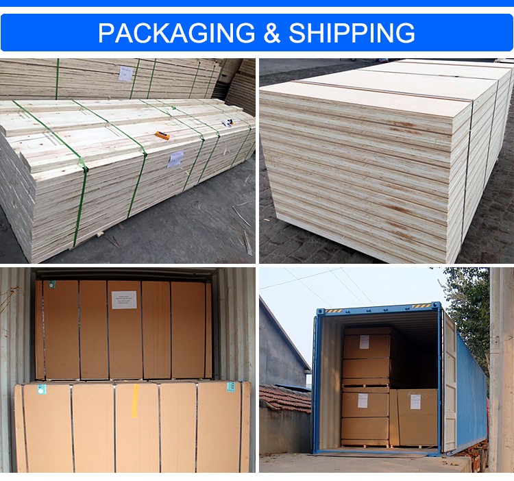 China made E2 Glue Poplar  LVL for sale 
