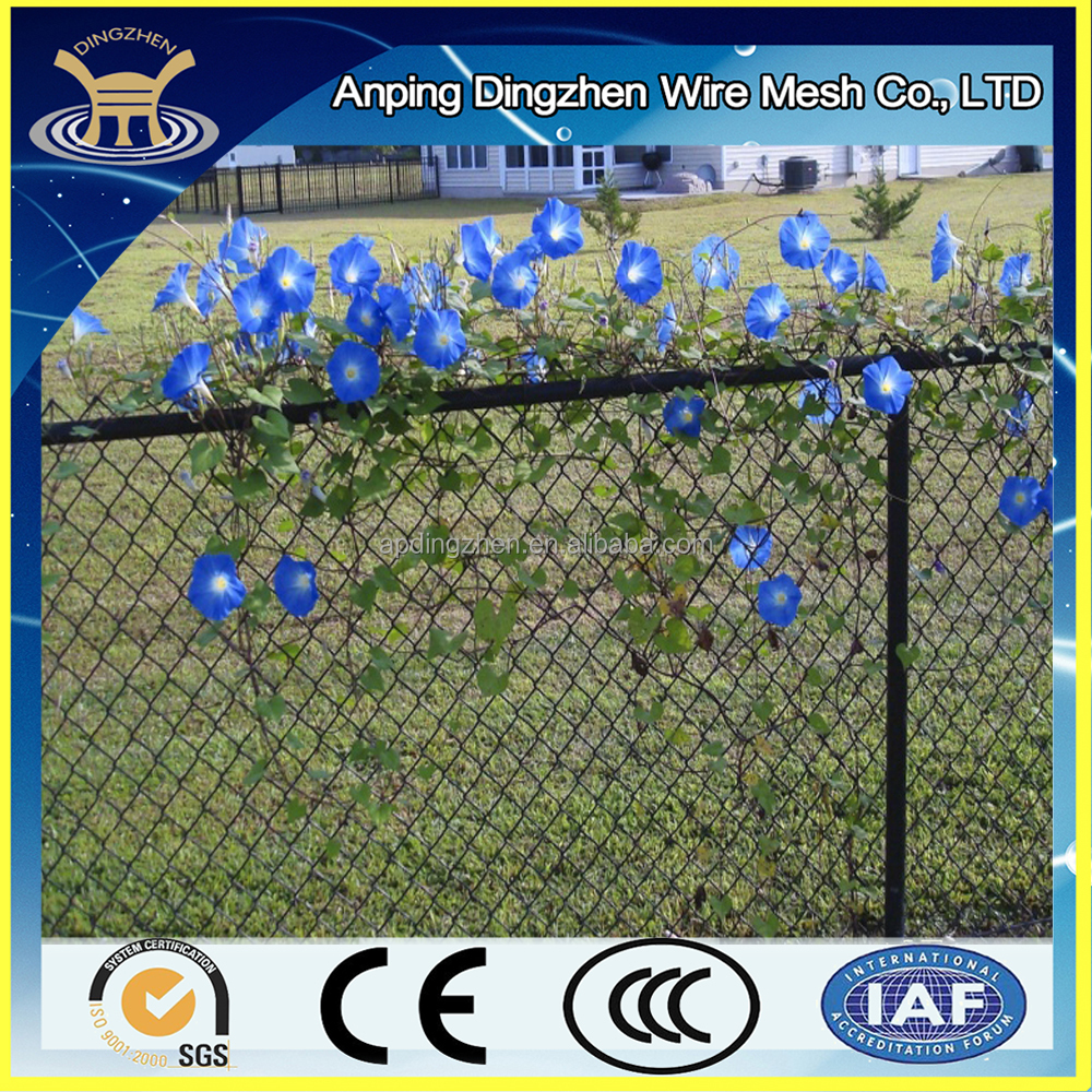 Piante e fiori arrampicata recinzione/giardino recinzione/rete ...
