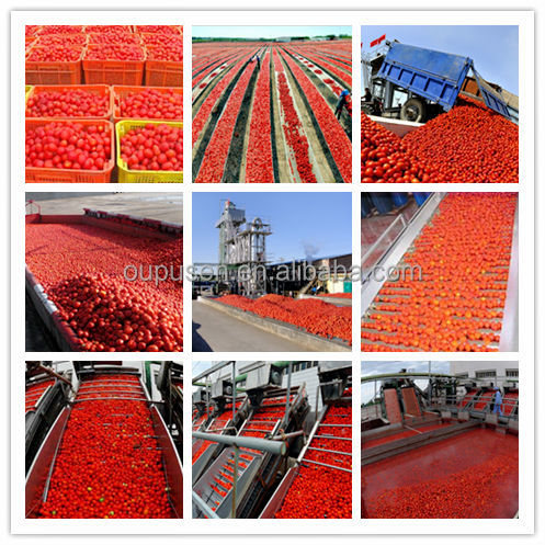 Bulk Tomato Paste