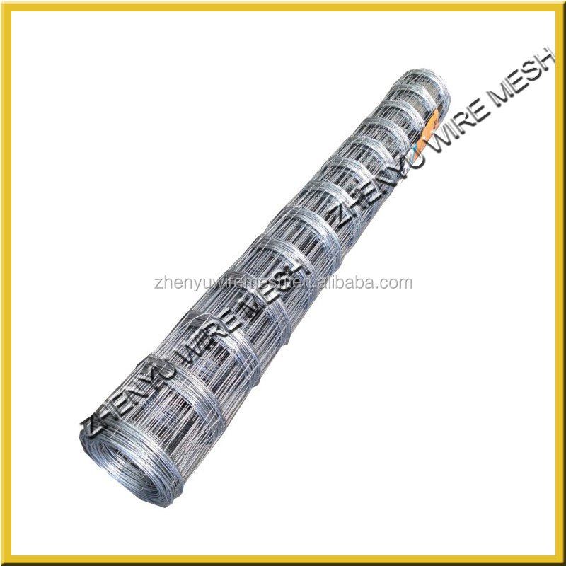 roof safe mesh 1.jpg