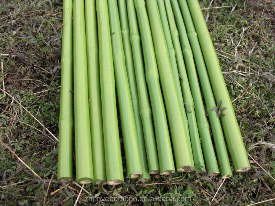 New! Zy1023 Bamboo Sticks In Plastic Coat Bamboo Poles With Plastic